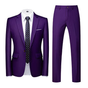 Men Solid Purple 2 Piece Suit One Button Closure