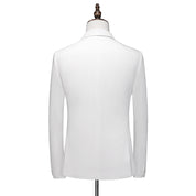 Men's 2 Piece Slim Fit Solid Suit in White